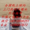 全国高端公寓品茶-专注商界老板-职场精英-成功人士群体-外围大圈预约平台