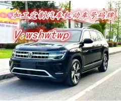 2025年大众途昂  汽车号牌定做